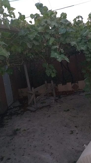 xacmaz dasinmaz emlak: 🏡 Hökməli – Qobu yolu istiqamətində 3 otaqlı həyət evi satılır! 📍 — 10