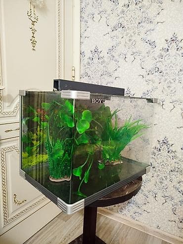 akvaryum: BOYU akvarium seti - Marka/model: BOYU - Şüşə akvarium, ön küncləri — 1