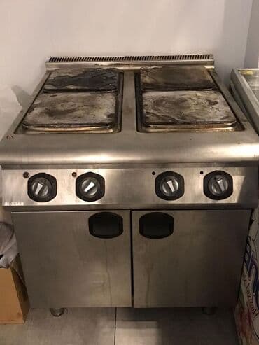 работа для профессионального водителя: Для еды, Электрическая — 1