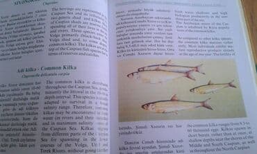 сколько стоит мотоцикл: Müxtəlif kitablar satılır. Biri 40 manat. "Nərəkimilər - dinozavrların — 12