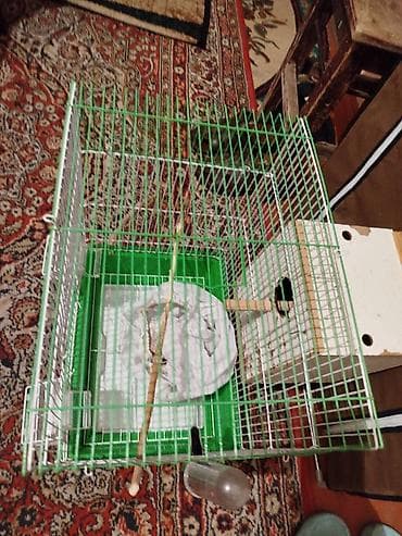 qefesler: Yuva ile birlikde. 2 yem qabi. 1 su qabi. Torbasi. Taxtasi. Teze — 3