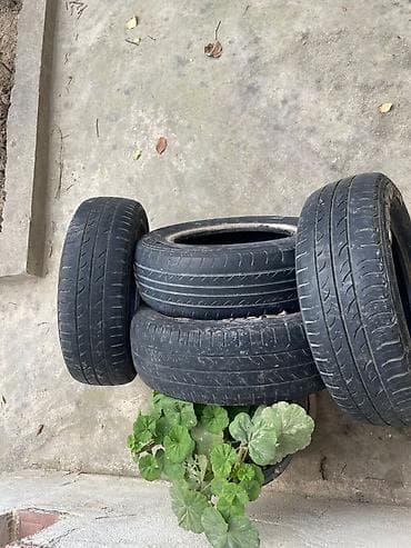 f10 disk teker: Şin Formula 175 / 70 / R 13 — 3