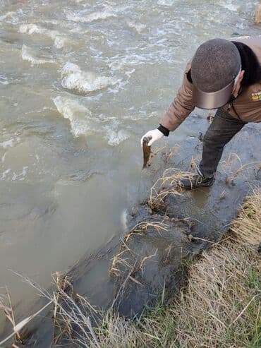 земельные участки коммерческого назначения: Parnik yeri.Şamaxı rayonu Xilmilli kəndində yerləşir. 6 hektar yerdi — 3