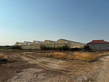 bal satışı: Salyan rayonu, Qaraçala qəsəbəsində 1 hektar xüsusi mülkiyyətə aid — 1