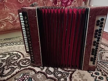 Akustik Akkordeon, İşlənmiş