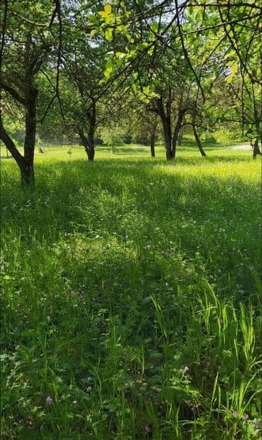 xacmazda torpaq: 48 соток, Для строительства, Собственник, Бялядия (муниципалитет) — 7