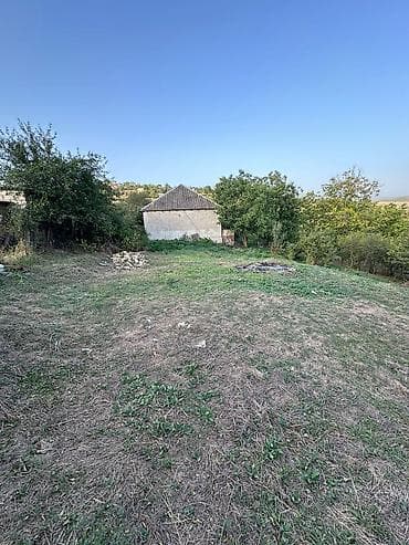 qəbələdə torpaq qiymətləri: 22 sot, Mülkiyyətçi, Bələdiyyə — 2