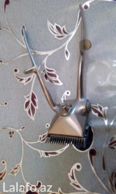 алиса купить в баку: Super veziyyetdedir — 2