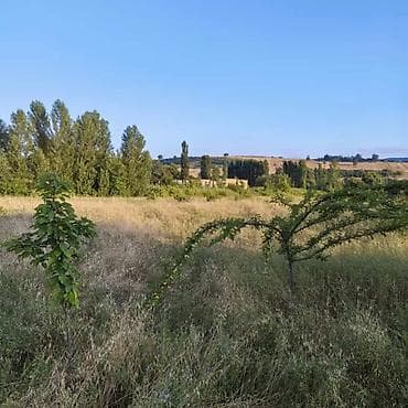 yaşma torpaq: Salamu Aleykum İsmayıllı rayonu da torpaq sahəsi satılır istəyən olsa — 7