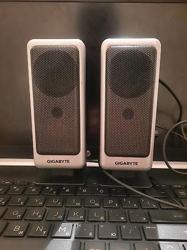 w210 dinamik: Səsgücləndirici. Kompyuter, notbuk üçün. səs düyməsində yüngül boşluq — 1