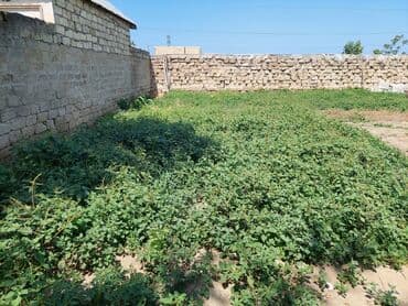 maştağada sot: Tikinti, Mülkiyyətçi, Kupça (Çıxarış) — 7
