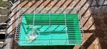 Heyvanlar üçün mallar: Geniş heyvan qəfəsi, hun - 40 sm, eni - 48 sm, uzu - 85 sm — 2