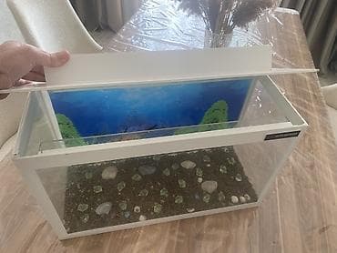 akva: Dördbucaq akvarium, Boş, 20 l, Ünvandan götürmə — 4