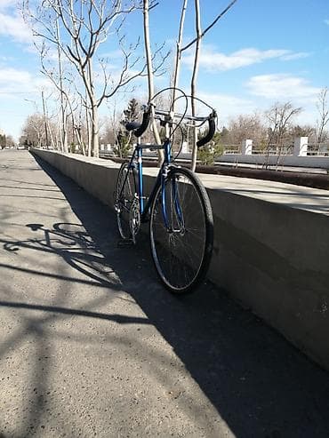 26 liq velosiped satilir: Klassik şose Velosiped — 8