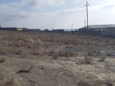 baku electronics xacmaz: Kupça (Çıxarış) — 2