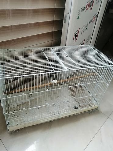 pudel ucuz: Quş qəfəsi – iri ölçülü, metal karkaslı - Material: möhkəm metal — 2
