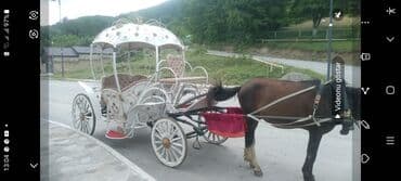 пожарный щит в комплекте цена: Fayton satılır Qədimi dizaynda, dəmir konstruksiya ilə yığılmış fayton — 2