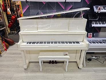 pianer: Piano, Akustik, Yeni, Ünvandan götürmə — 2