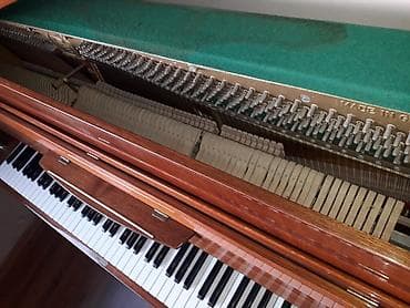 gitara akustik: Piano, Zimmermann, Akustik, İşlənmiş, Pulsuz çatdırılma, Ünvandan götürmə — 3