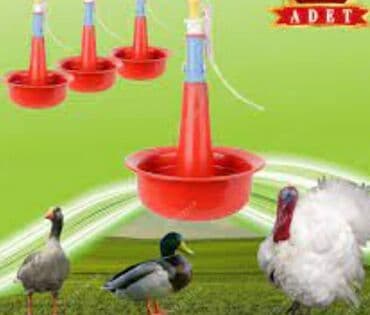 Inəklər, öküzlər: Yem qabı, Su üçün, Quşlar üçün, Ödənişli çatdırılma, Rayonlara çatdırılma — 3