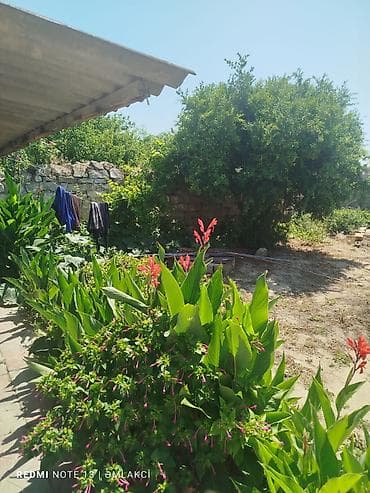 rayonlara: 3 sot, Tikinti, Maklerlər narahat etməsin, Kupça (Çıxarış) — 3
