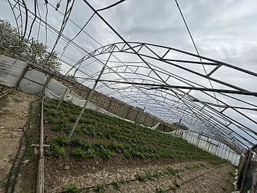 ev qap: İstixana kompleksi – dam örtüyü karkaslı, tam işlək əkin sahələri və — 2