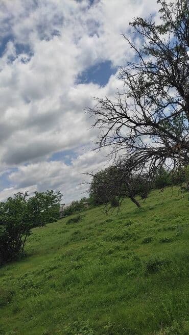 imişlidə torpaq satılır: 180 sot, Biznes üçün, Mülkiyyətçi, Kupça (Çıxarış) — 3