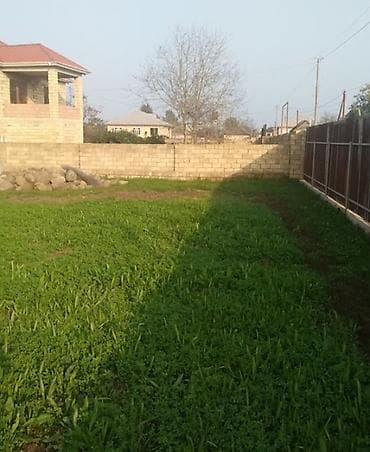 Torpaq: Tikinti — 1