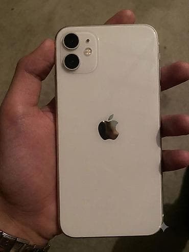 IPhone 11, Ağ