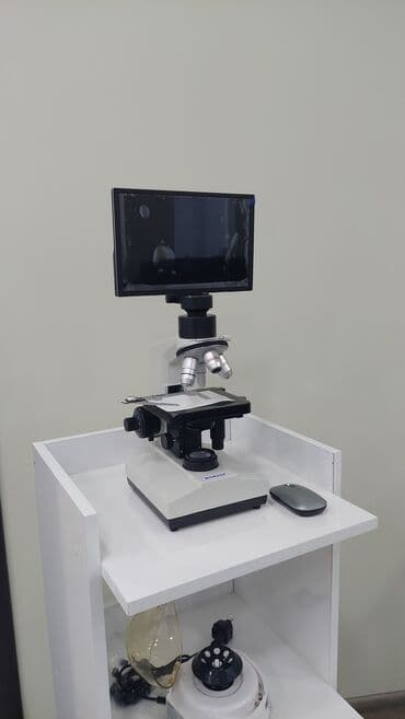 mikroskop qiymətləri: Mikroskop, Tibbi cihazlar

Biobase tirnokulyar kameralı mikroskop — 1