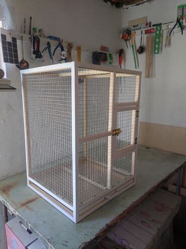 bildirçin yuvası: Papuqay,dovşan,hamster,şinşila,bildirçin,cücə,xamyak,pişik,quş,tısbağa — 4