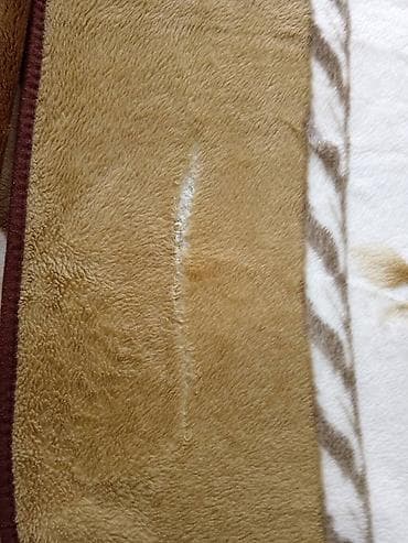 07 sekilleri 2023: Pled — 3