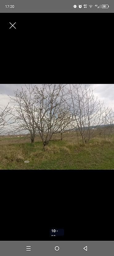 gence emlak satisi: Kənd təsərrüfatı — 9