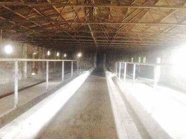 sumqayitda qaraj satilir: Sabunçu rayonu Savalan qəsəbəsində 1 mərtəbəli,sahəsi 360 kv/m olan — 2