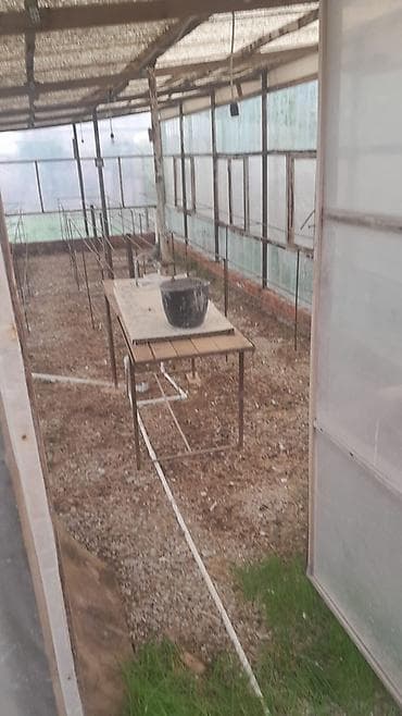 sulutepe cicek qesebesinde torpaq: Kurdaxani qesebesindi bag evi kiraye verilir — 3