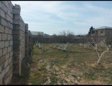 türkanda torpaq: 12 sot, Tikinti, Makler, Kupça (Çıxarış) — 2