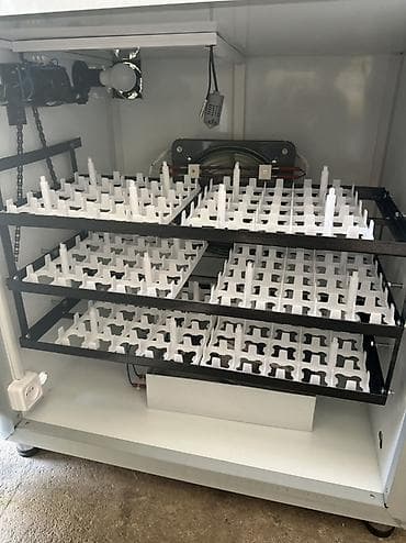 Сельско-хозяйственное оборудование: 300 яиц, Полностью автоматическая — 2