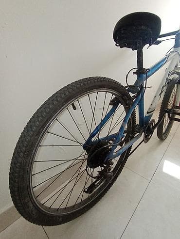 Şosse velosipedləri: Xds dağ velosipedi + Wolt termo çatdırılma çantası, wolt kurtka — 3