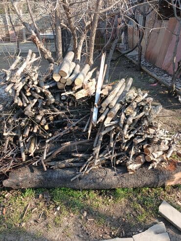 Toxumlar: Odun və budaq qırıntıları – qarışıq ölçülər - Qalın gövdə parçaları — 3