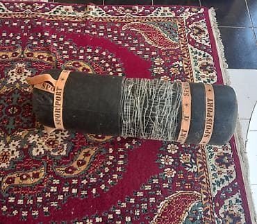 Bərdədi bokus quruşası