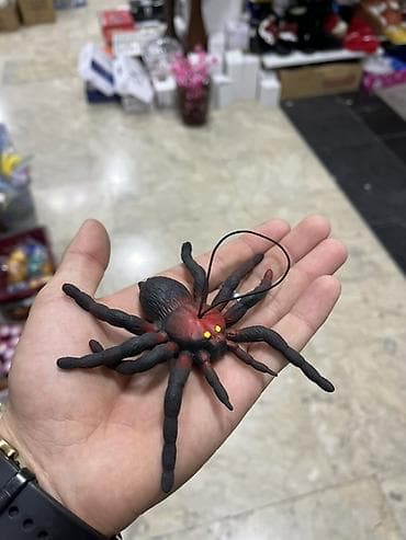 keci seki: Uşaq oyuncaqları dəsti – yumşaq oyuncaq qurbağa və realist elastik — 4