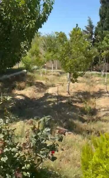 купить дом в ивановке азербайджан: Баку, 360 м², 8 комнат, С бассейном, Газ, Канализация, Комби — 22