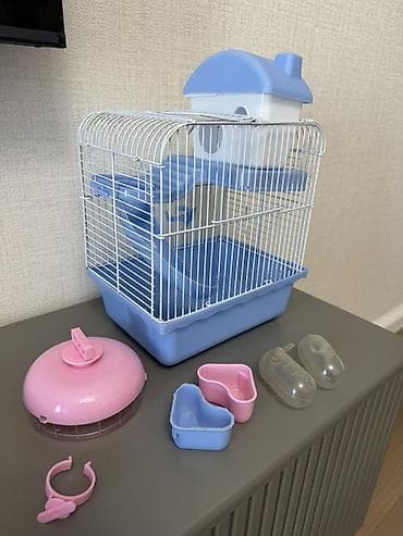 bala it: Kiçik gəmiricilər (hamster, siçança və s.) üçün uyğun, daxili yollar — 2