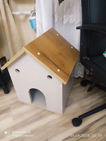 купить собаку в: Heç istifadə olunmayıb yeni 50 manata düzəltdirib dəqiq alıcılar — 2