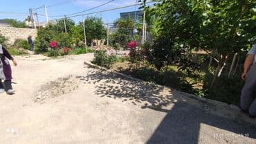 7 otaqlı, 250 kv. m