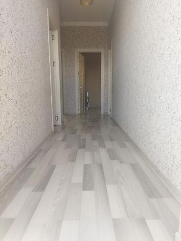 hovsan kupcali heyet evi: Bağ evi/həyətyanı sahə - Geniş həyət: yaşıllıq, ağaclar və dekorativ — 8