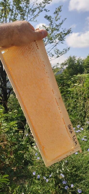 продается мед: ELF BEE'S 1977 ECO-PRODUCT FOR HEALTH AND LONGEVITY Tovuzun — 9