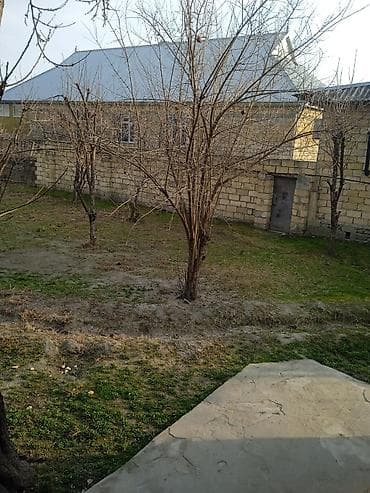 Mənzillər: 10 sot, Kənd təsərrüfatı, Mülkiyyətçi, Kupça (Çıxarış) — 1