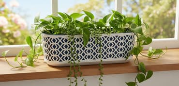 dibcek: Dekorativ uzun çiçək qabı / balkon qutusu - Material: plastik (ikiqat — 1