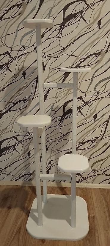 heserat yeyen bitkiler: Gül stendi — 2